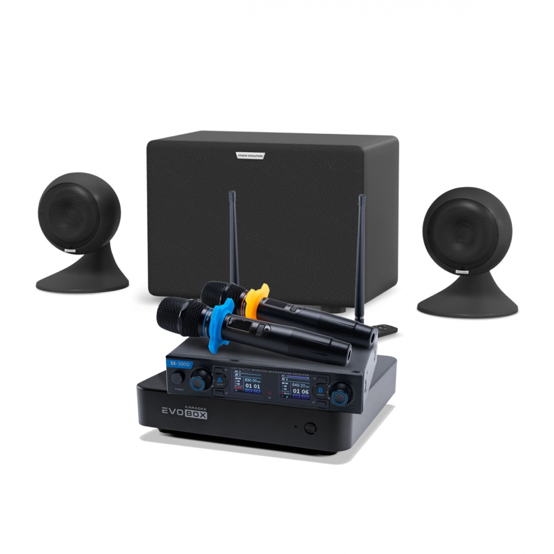 караоке-комплект EVOBOX + EvoSound Sphere 2.1 в Раменском