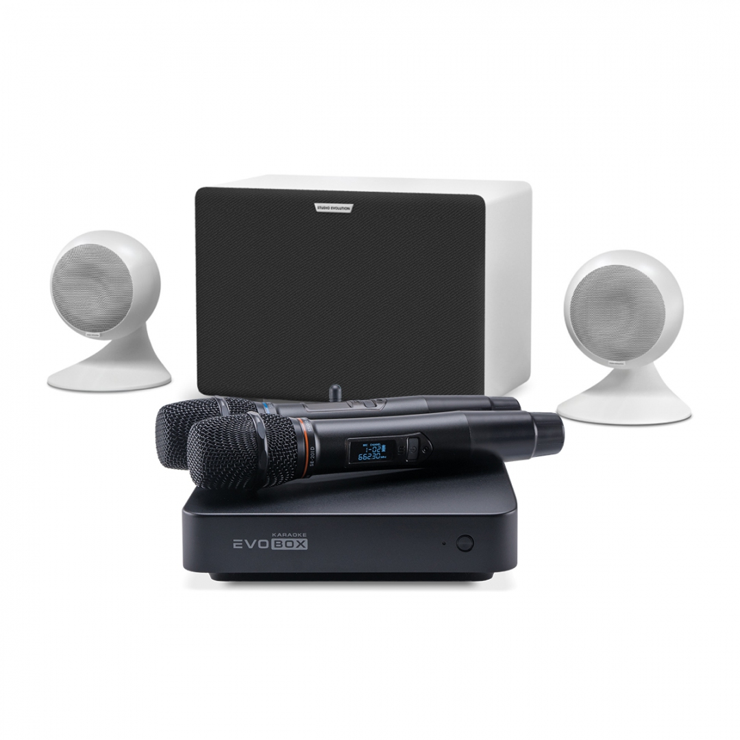 караоке-комплект EVOBOX Classic + EvoSound Sphere 2.1 в Раменском