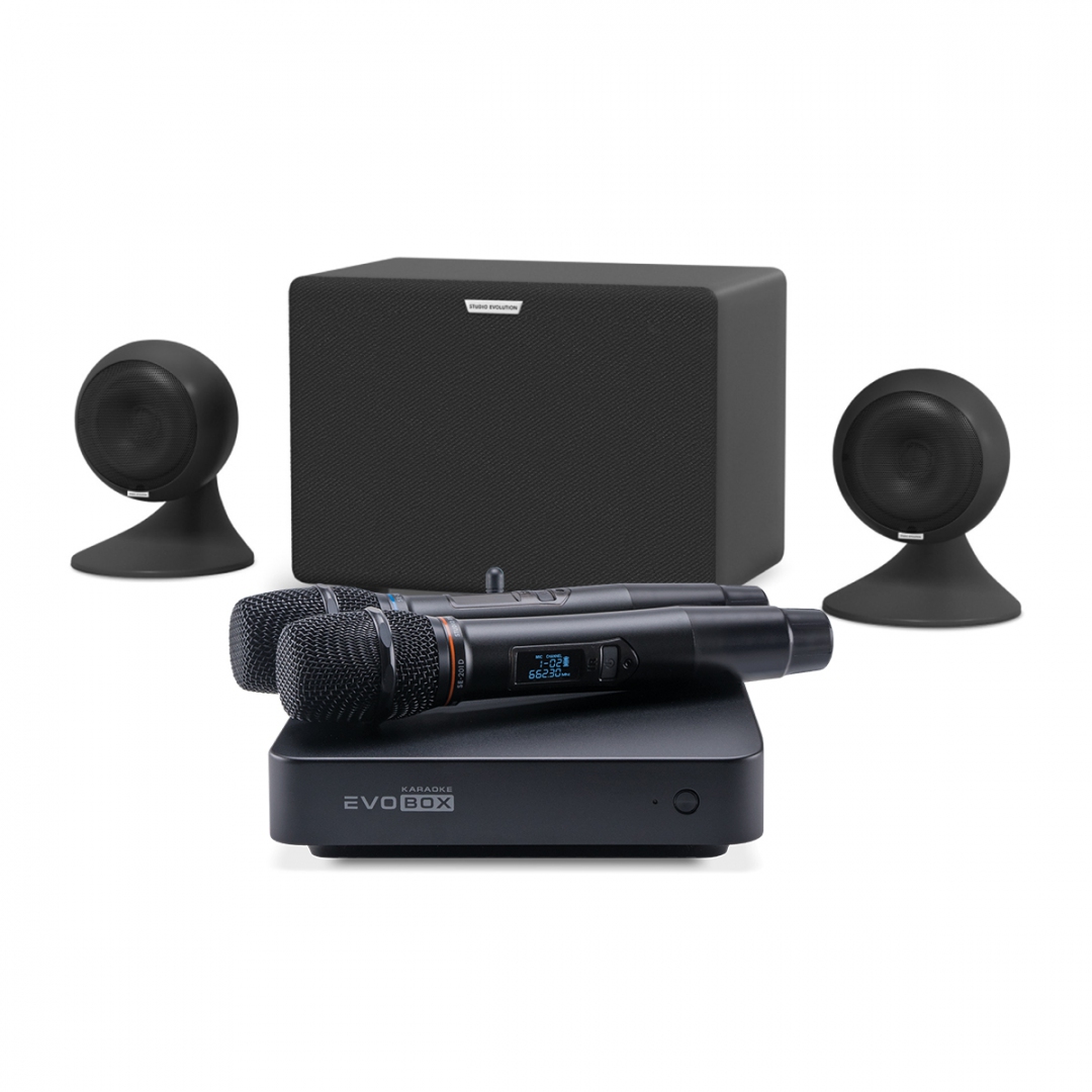 караоке-комплект EVOBOX Plus + EvoSound Sphere 2.1 в Раменском