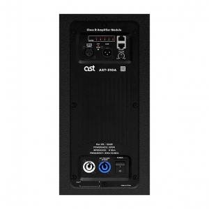 Активная акустическая система AST-310A в Раменском