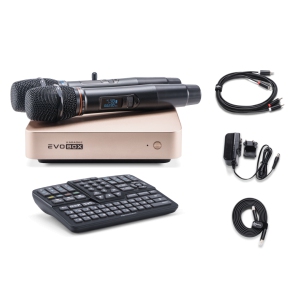 EVOBOX Classic караоке-система для дома в Раменском