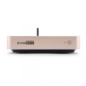 EVOBOX Plus караоке-система для дома в Раменском