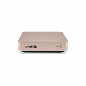 EVOBOX с микрофонами в Раменском